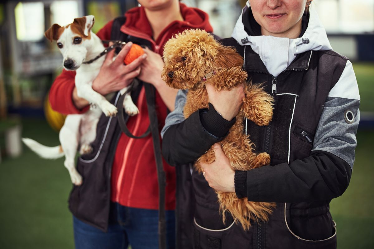 Tier adoptieren Unna: Tierheim statt Züchter